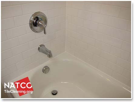 mold free clean ceramic tile shower