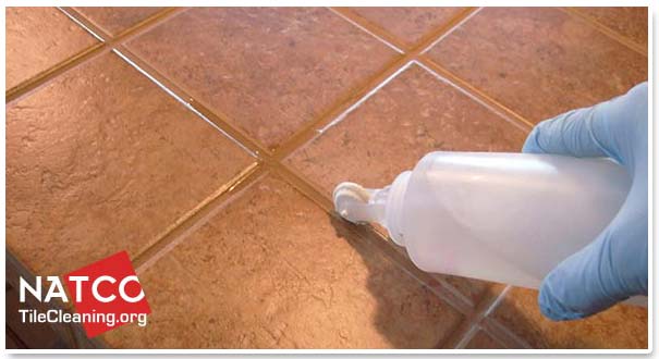 Tile Solutions Grout Sealer Applicator Brush Bottle with Easy